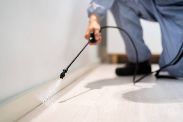 Pest Control for Restaurants in Columbus Af, MS
