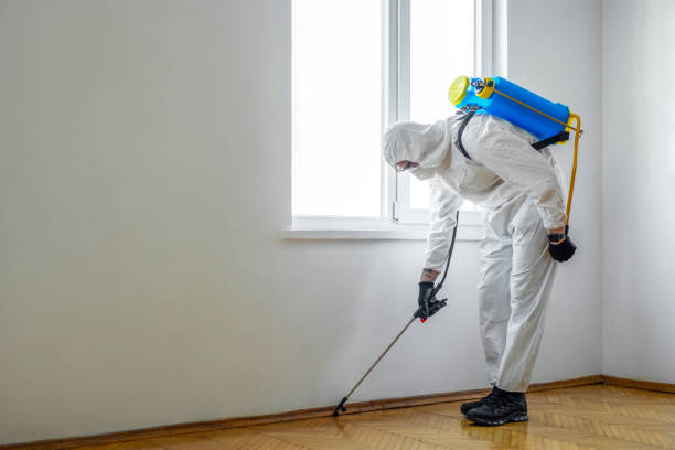 Best Pest Control Cost  in Columbus Af, MS