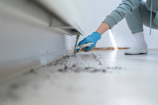 Best Emergency Pest Control  in Columbus Af, MS